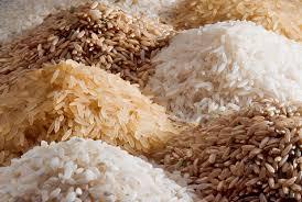 RICE & OTHER GRAINS