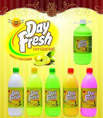 Day Fresh Cleaner