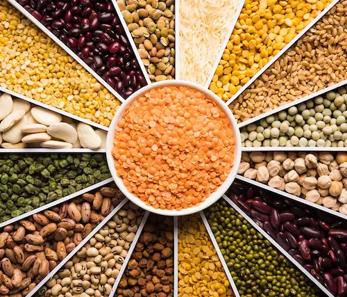 Whole Grains