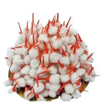 FOOLBATTI RANGIN NEW