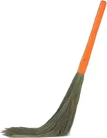 PHOOL JHADU / BHARAT BROOM GREEN Rs.110/-